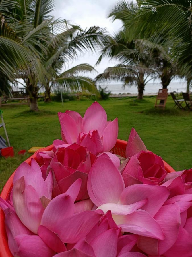 Ferienwohnung Nghi Duong Bien Ngoc Phan Thiet Exterior foto